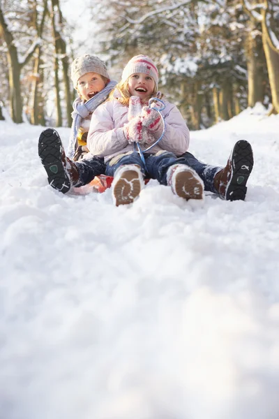 Menino e menina que deslizam através da floresta nevada — Fotografia de Stock