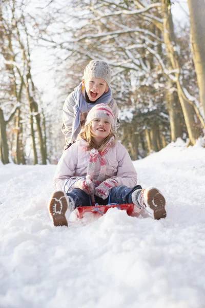 少年と少女の雪に覆われた森を通してソリ — ストック写真