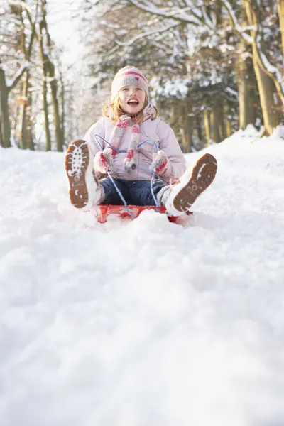 Дівчина качається на санках через Snowy Woodland — стокове фото