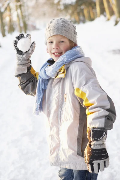 Ragazzo che sta per lanciare palla di neve nel bosco innevato — Foto Stock