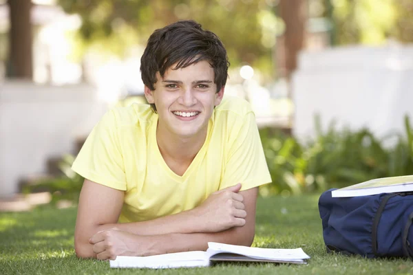Maschio Adolescente Studente Studiando Nel Parco — Foto Stock