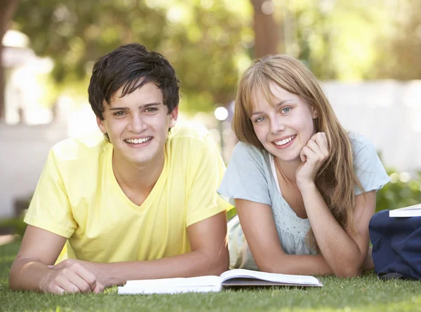 Teenager-Studentenpaar studiert im Park — Stockfoto