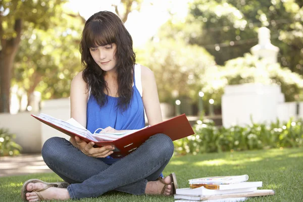 Vrouwelijke tiener student studeren in park — Stockfoto