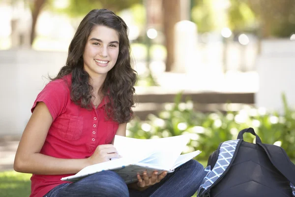 Vrouwelijke Tiener Student Studeren Park — Stockfoto