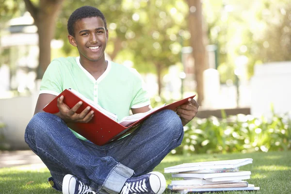 Manliga Teenage Student Som Studerar Park — Stockfoto