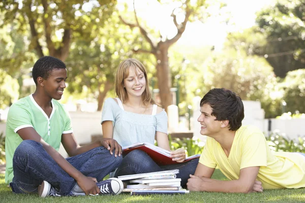 Grupo de estudiantes adolescentes charlando juntos en el parque —  Fotos de Stock
