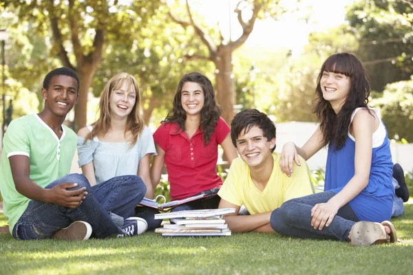 Gruppo Studenti Adolescenti Che Chattano Insieme Nel Parco — Foto Stock