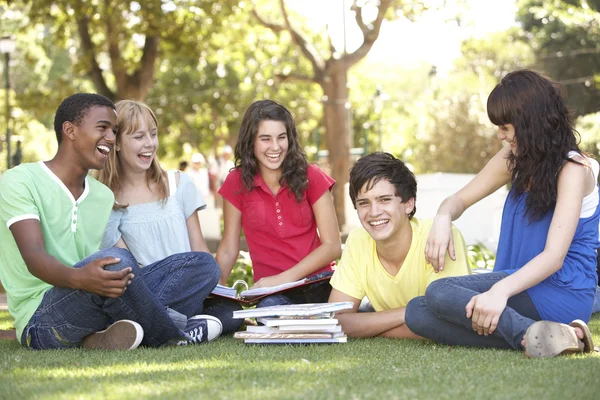 Grupp tonåriga elever chattar tillsammans i park — Stockfoto