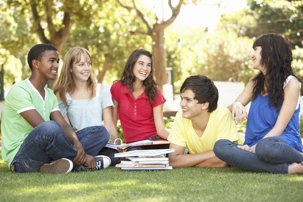 Grupo Estudiantes Adolescentes Charlando Juntos Parque — Foto de Stock