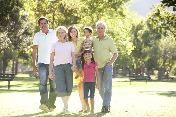 Ritratto di gruppo esteso di famiglia godendo passeggiata nel parco — Foto Stock