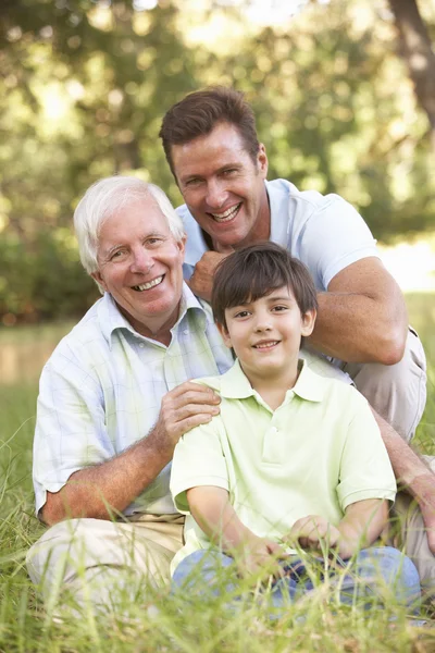 祖父与儿子和孙子在公园 — 图库照片