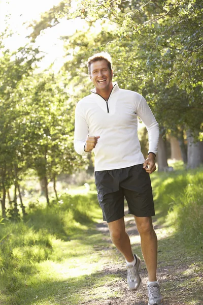 Middelste Leeftijd Man Joggen Het Park — Stockfoto