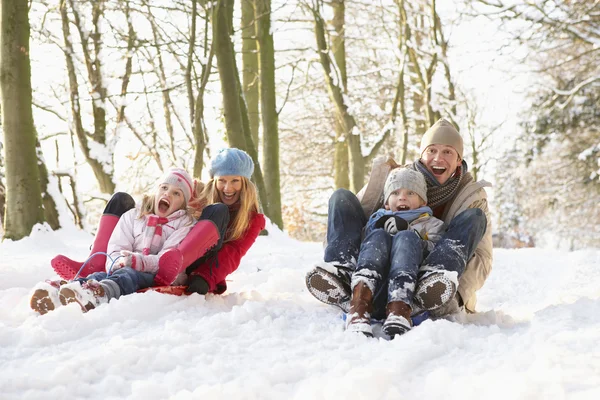 Family Sledging Snowy Woodland Royalty Free Stock Photos
