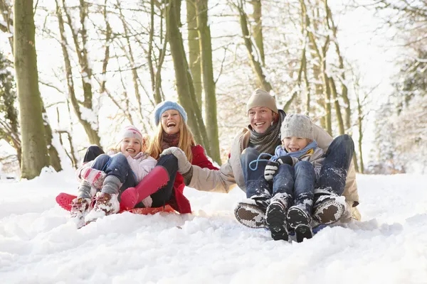 Family Sledging Through Snowy Woodland Royalty Free Stock Photos