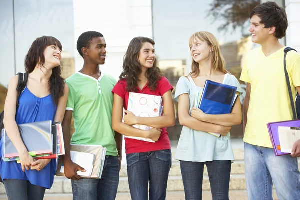 Group Of Teenage Students Standing Outside College Building Royalty Free Stock Images