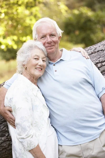 Senior Couple Walking Park Stock Picture