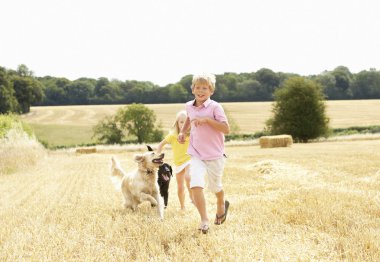 Boy With Dogs Running Through Summer Harvested Field clipart