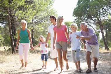 A family, with parents, children and grandparents, walk through clipart