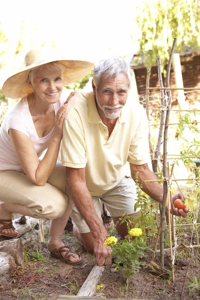 Äldre par avkopplande i trädgården — Stockfoto