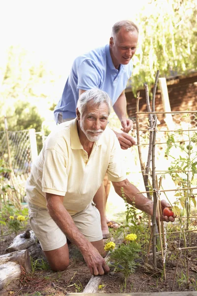 Senior Mann Und Erwachsener Sohn Entspannen Sich Garten — Stockfoto