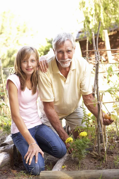 Teenager Enkelin Und Großvater Entspannen Garten — Stockfoto