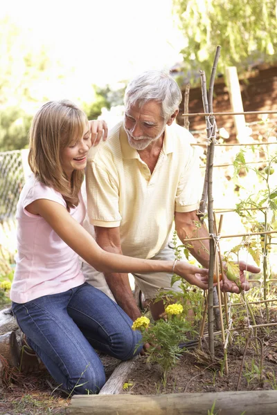 Tonåriga barnbarn och farfar avkopplande i trädgården — Stockfoto