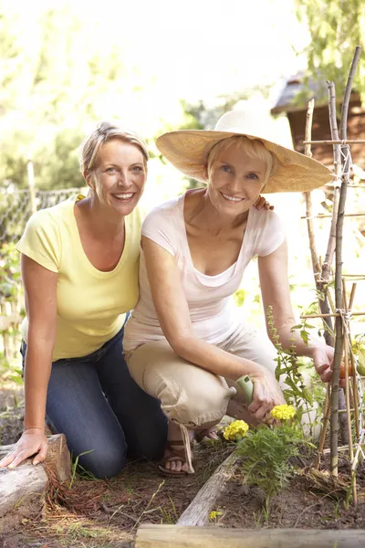 Senior vrouw en volwassen dochter ontspannen in de tuin — Stockfoto