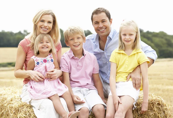 Семья, сидящая на Соломенных тюках на собранном поле — стоковое фото
