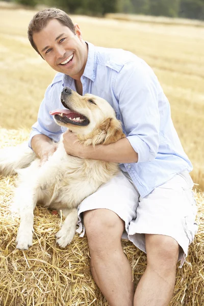 Hombre sentado con perro en balas de paja en el campo cosechado —  Fotos de Stock