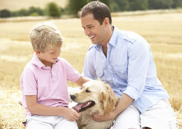 父亲和儿子坐在一起上稻草包中收获现场应用的狗 — 图库照片