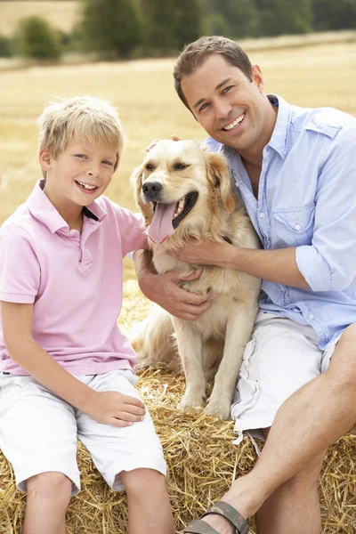 父と息子の収穫フィールでわら俵の上に犬と一緒に座っています。 — ストック写真