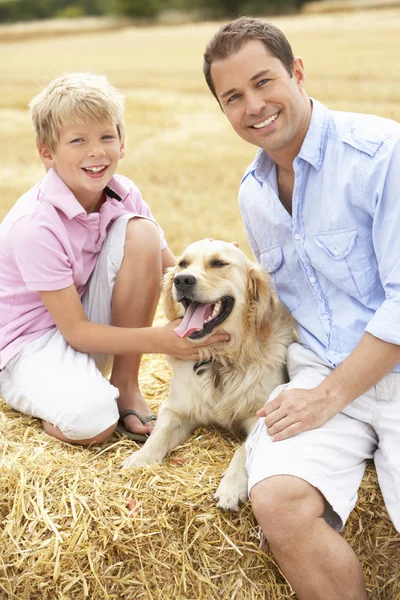 Pai e filho sentados com o cão em fardos de palha no campo colhido — Fotografia de Stock