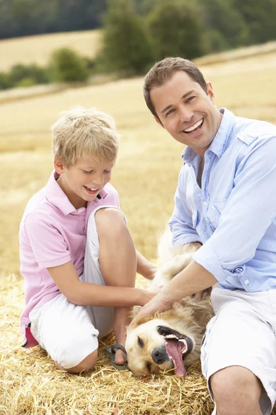 아버지와 아들 수확된 기분이 짚으로 bales에 강아지와 함께 앉아 — 스톡 사진