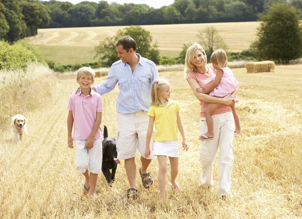 Familie lopen samen via zomer geoogst veld — Stockfoto