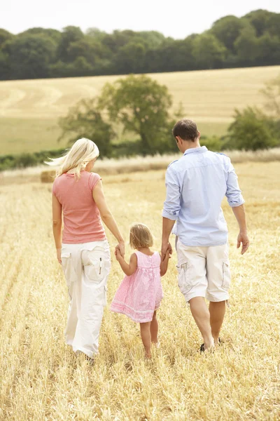 Família caminhando juntos através do campo colhido no verão — Fotografia de Stock