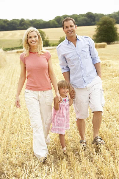 家族を歩いて一緒に夏収穫フィールド — ストック写真