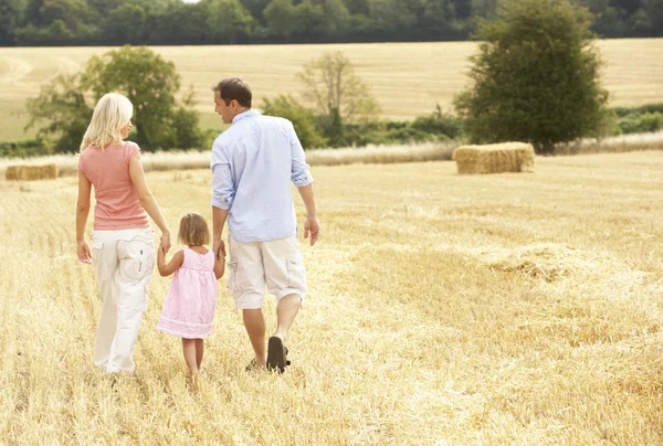 Family Walking Together Summer Harvested Field — Stock Photo, Image