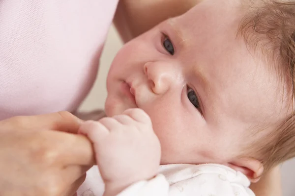母親の手を握って男の赤ちゃんのクローズ アップ — ストック写真