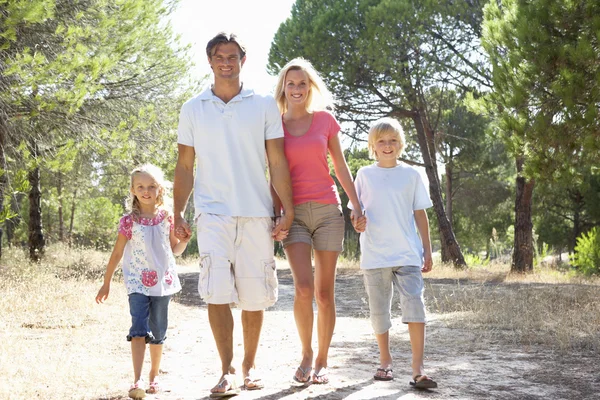 Familjen, föräldrar och barn, promenader, gå tillsammans i park — Stockfoto