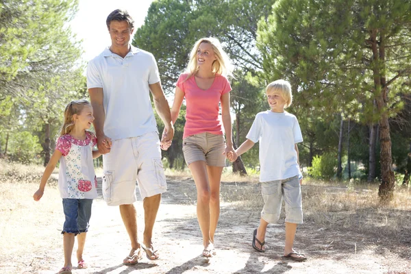 Rodina, rodiče a děti, chůze, chůze v parku — Stock fotografie
