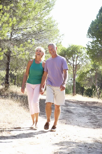 Äldre par, hålla händer, promenader, promenad i park — Stockfoto