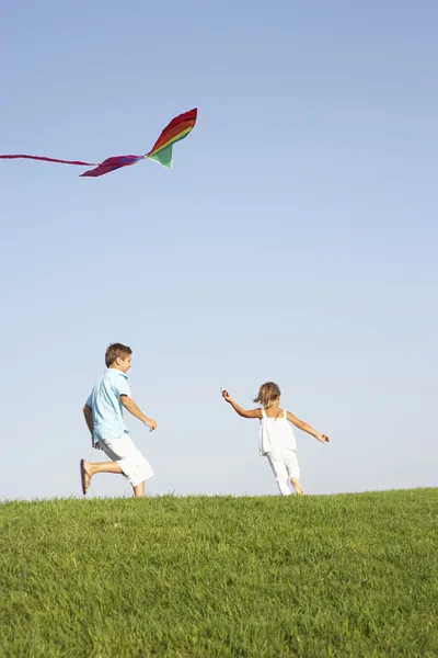 Jonge Kinderen Lopen Met Kite Door Veld — Stockfoto