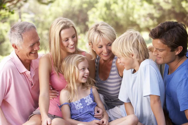 Una familia, con padres, hijos y abuelos, relajándose en un —  Fotos de Stock
