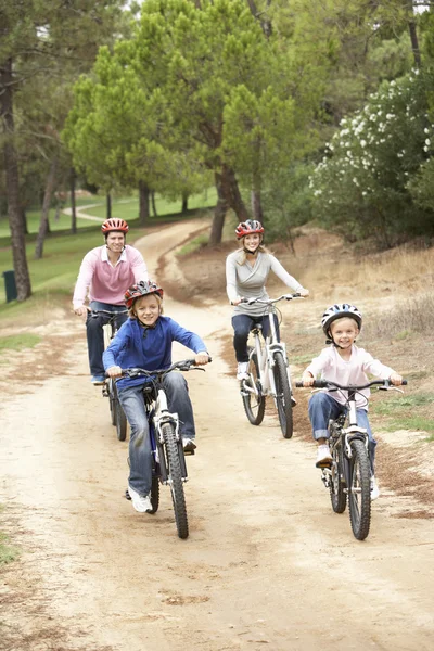 공원에서 자전거를 타고 즐기는 가족 — 스톡 사진