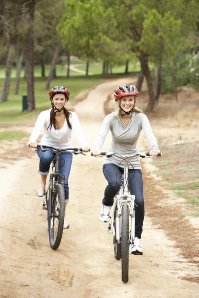 Paar Fährt Fahrrad Park — Stockfoto