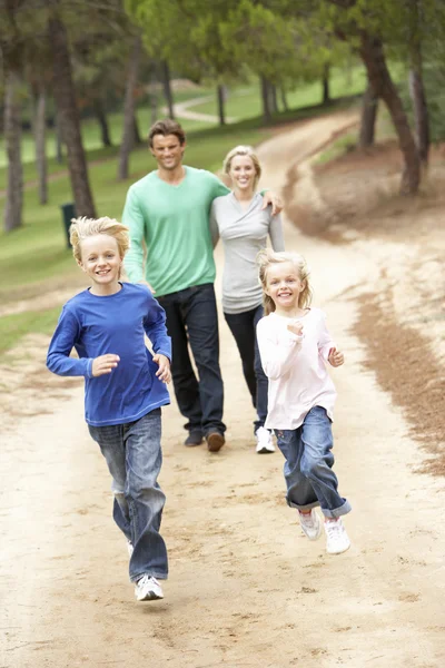 Семья с удовольствием прогуливается в парке — стоковое фото