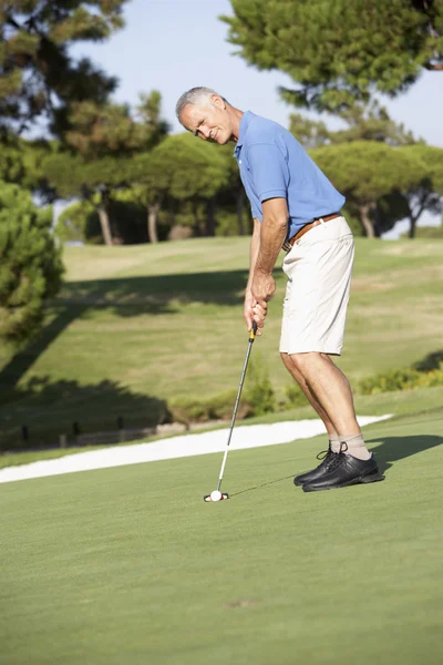 Hombre mayor golfista en campo de golf Putting On Green Imágenes de stock libres de derechos
