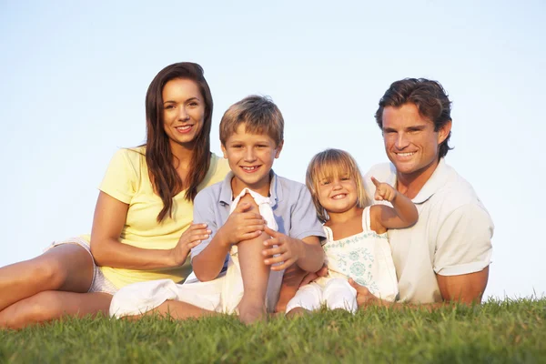 Young parents, with children, posing on a field Royalty Free Stock Images