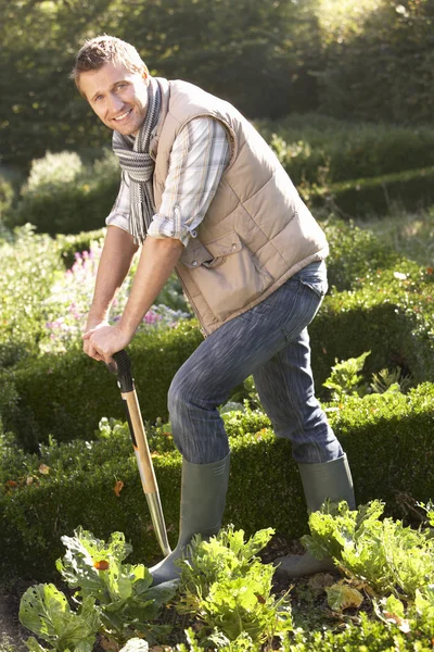 Fiatal ember dolgozik a kertben — Stock Fotó