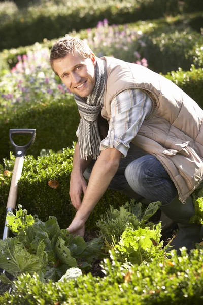 Młody mężczyzna pracujący w ogrodzie — Zdjęcie stockowe